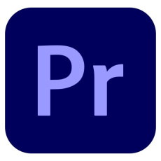 Premiere Pro for teams MP ENG GOV NEW 1 User, 12 Months, Level 1, 1 - 9 Lic